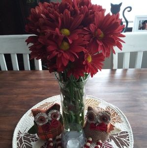 Meet your Posher, Kat